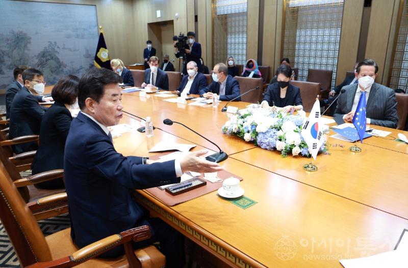 사본 -김진표 국회의장, 유럽의회 한반도관계대표단 접견 1.jpg