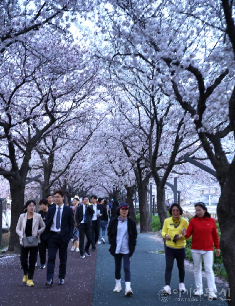 남11.jpg