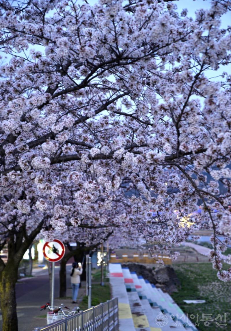 남42(작).jpg