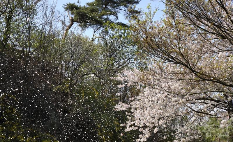산39.jpg