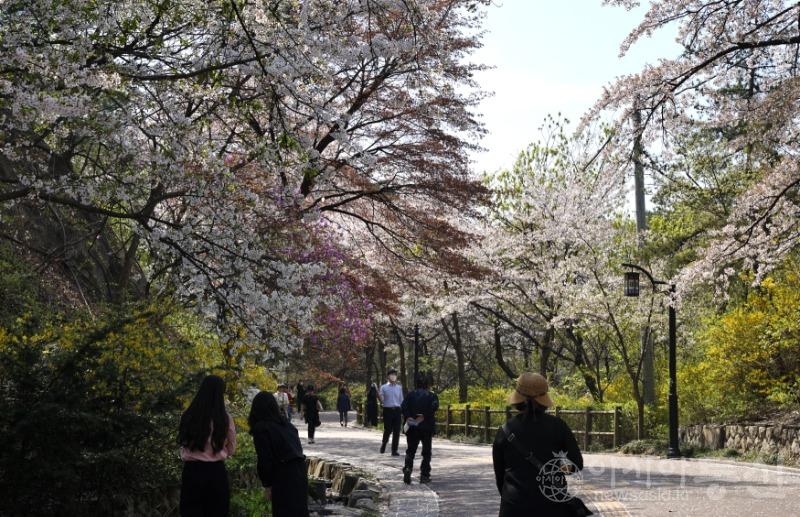 산10.jpg
