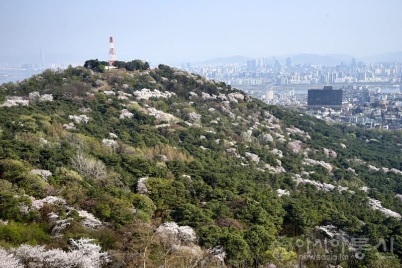 둘106.jpg