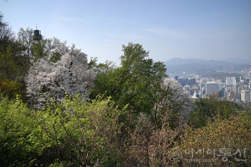 둘90.jpg