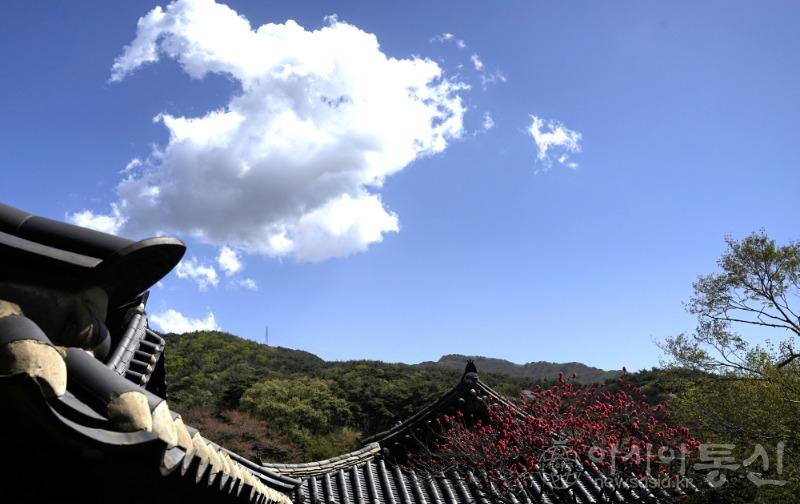 마46(작).jpg