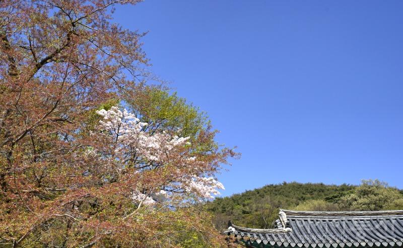 마50.jpg