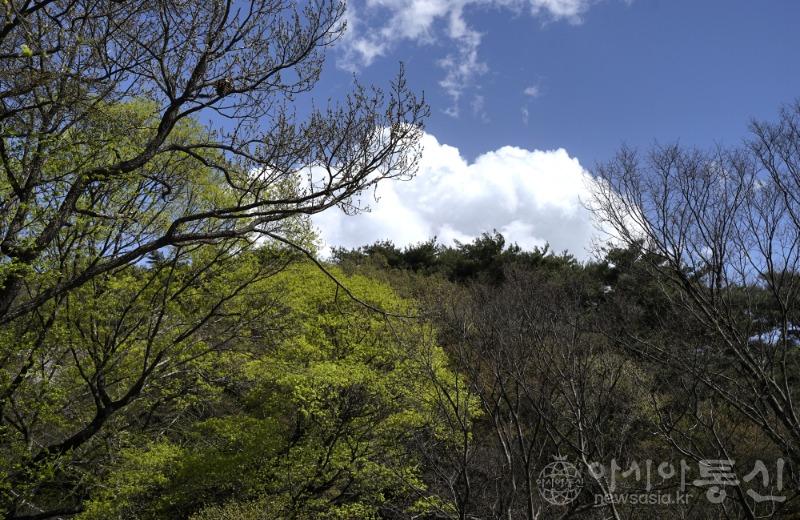 마54.jpg