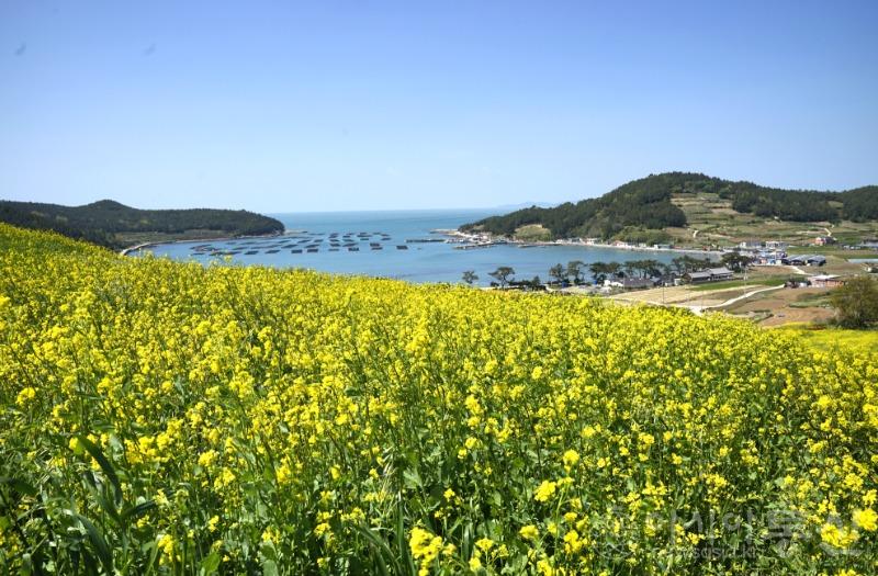청6(작)2.jpg