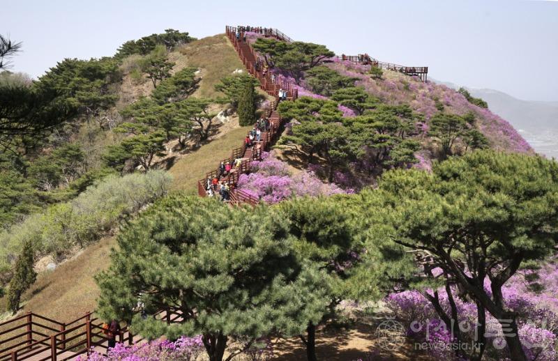 고37.jpg