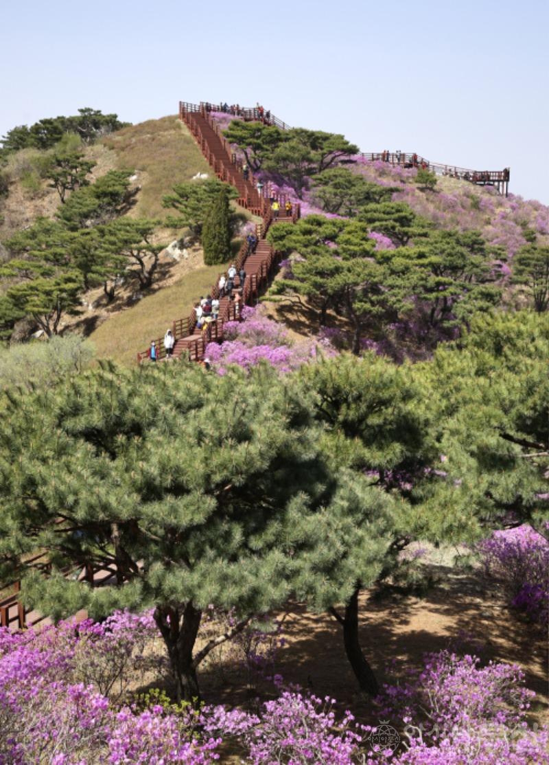 고40(작).jpg