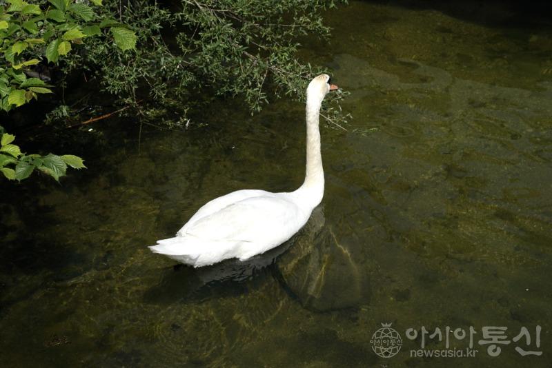 할5.jpg