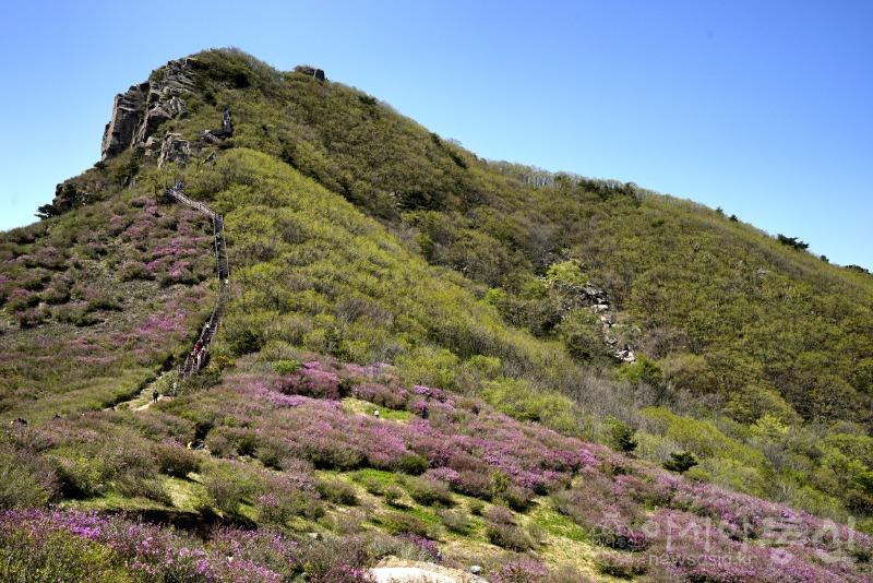 산6.jpg