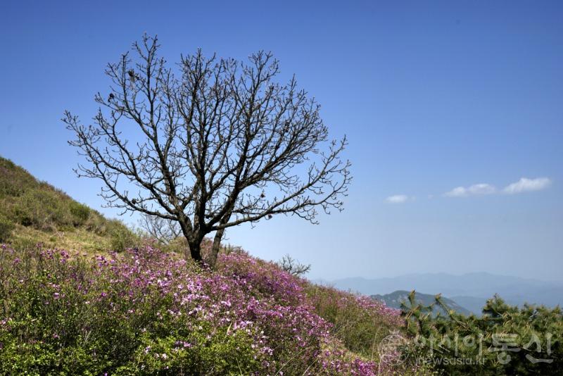 산25.jpg