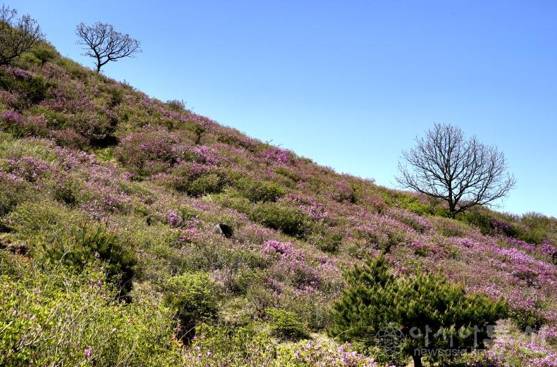 산33(작).jpg