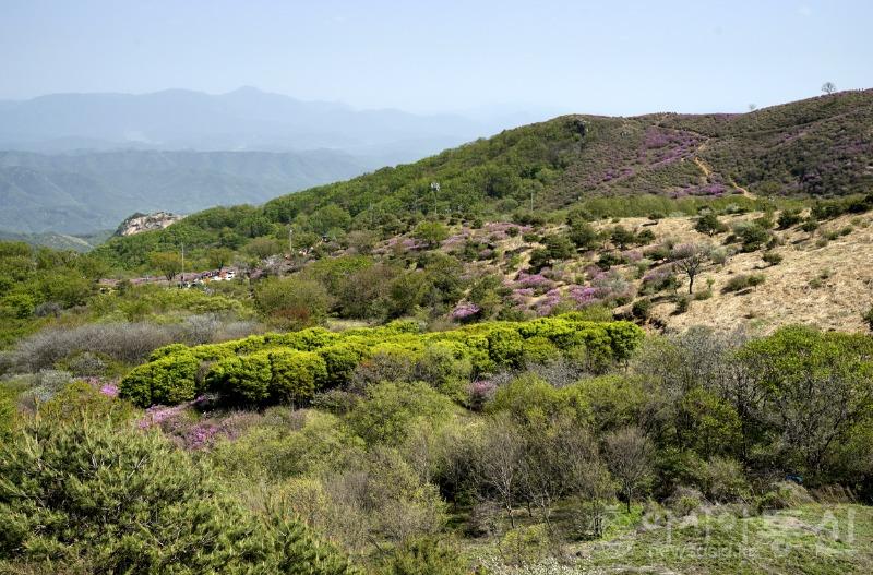 산47(작).jpg