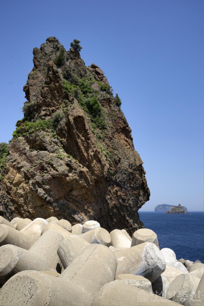 저14.jpg