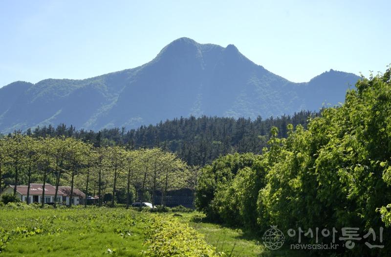 울12.jpg