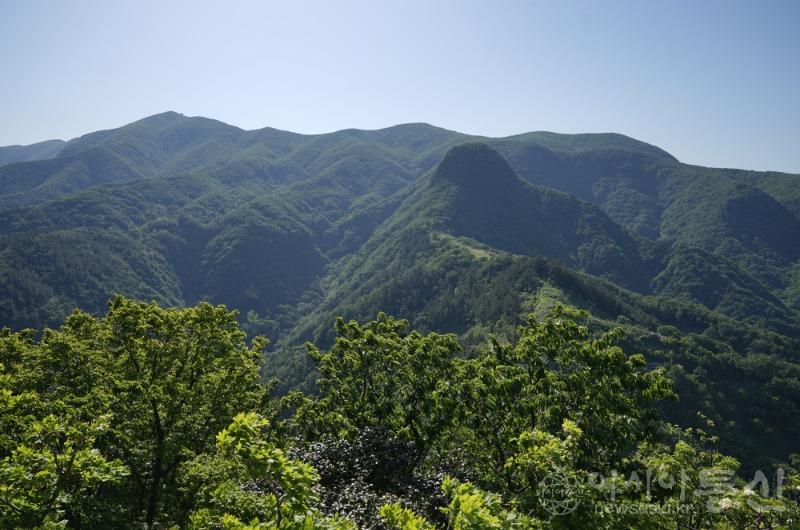 죽8.jpg