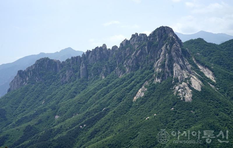 울38(작).jpg