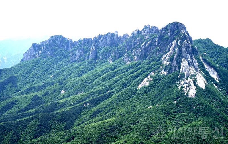 울44(작)1.jpg