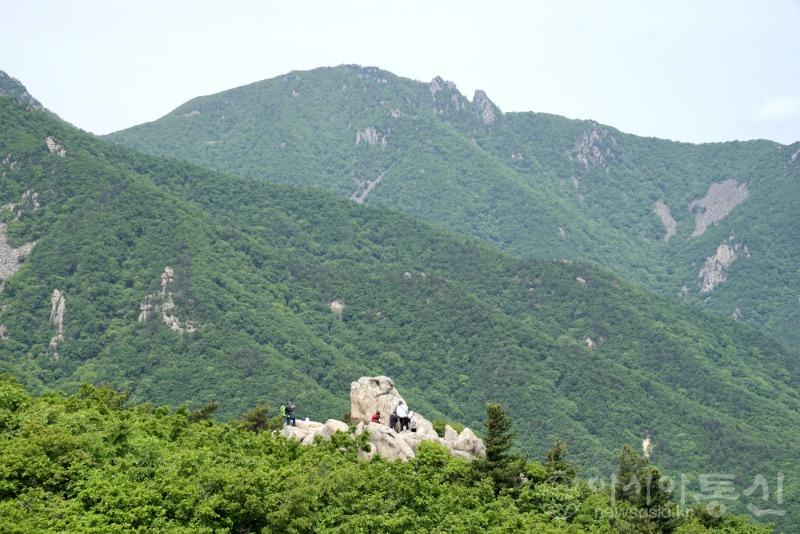 울29.jpg