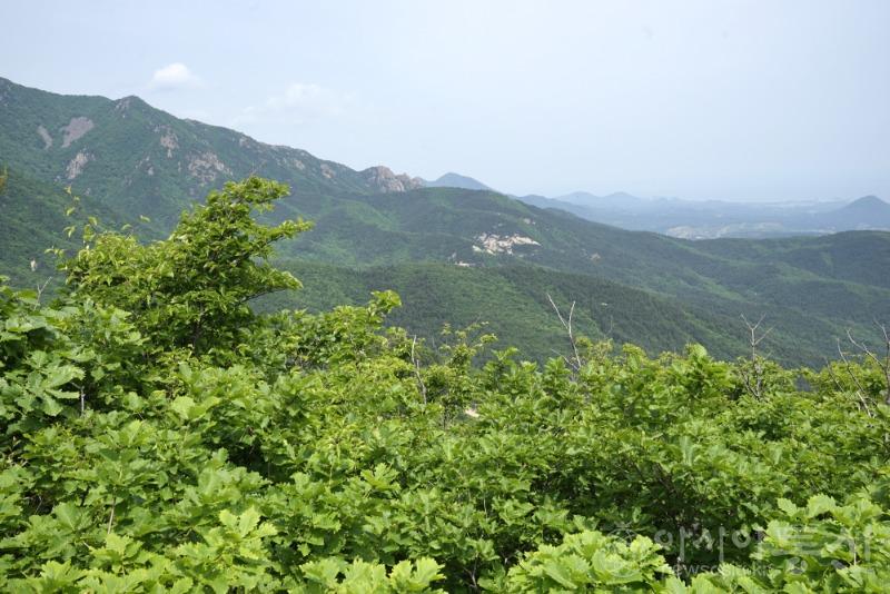울32.jpg