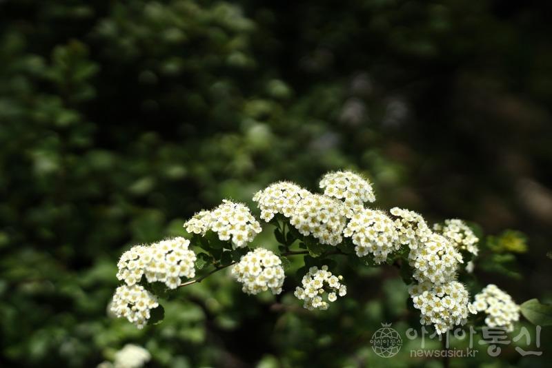 울68.jpg