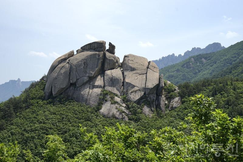 수17(작).jpg