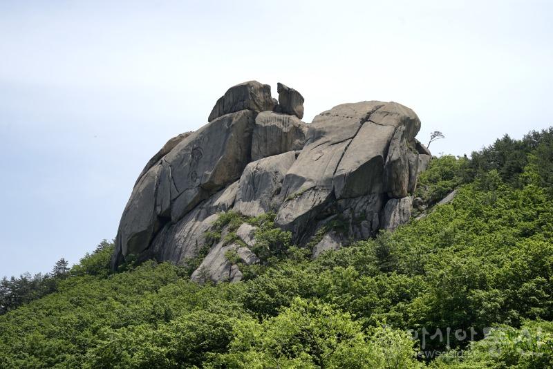 수5.jpg