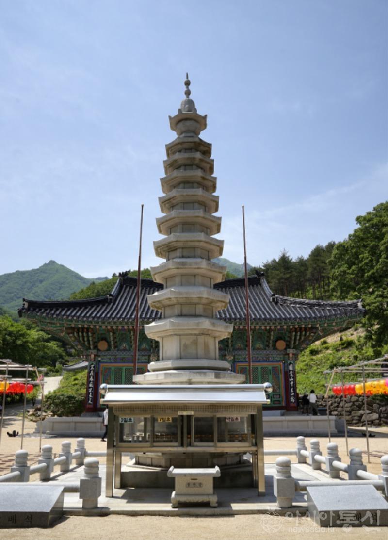 수9.jpg