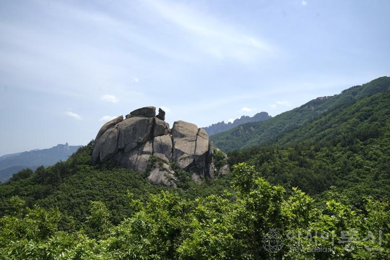 수22(작).jpg