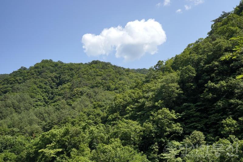 비16(작).jpg