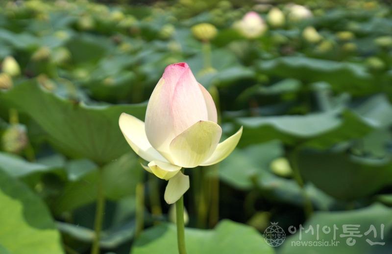 세20.jpg