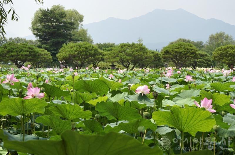 세123(작).jpg