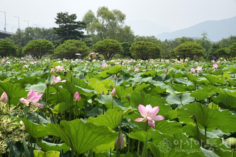 세125(작).jpg