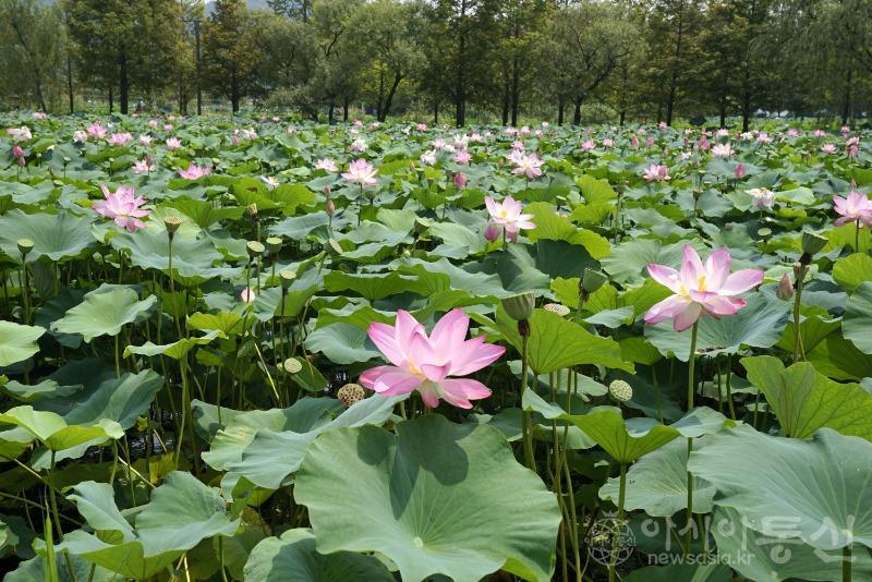 세57(작).jpg