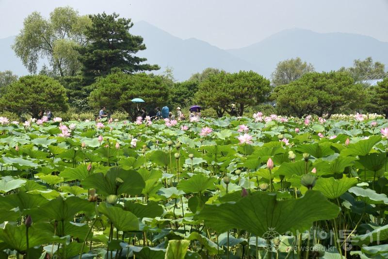 세72(작).jpg