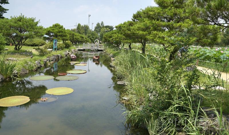세78.jpg