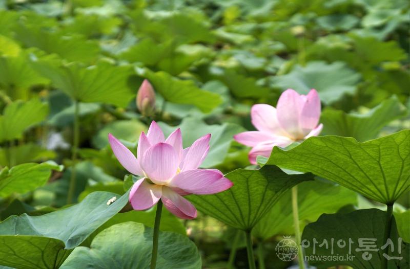 세122.jpg