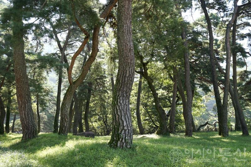소2.jpg