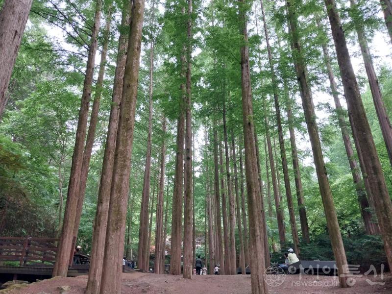 장8(작).jpg