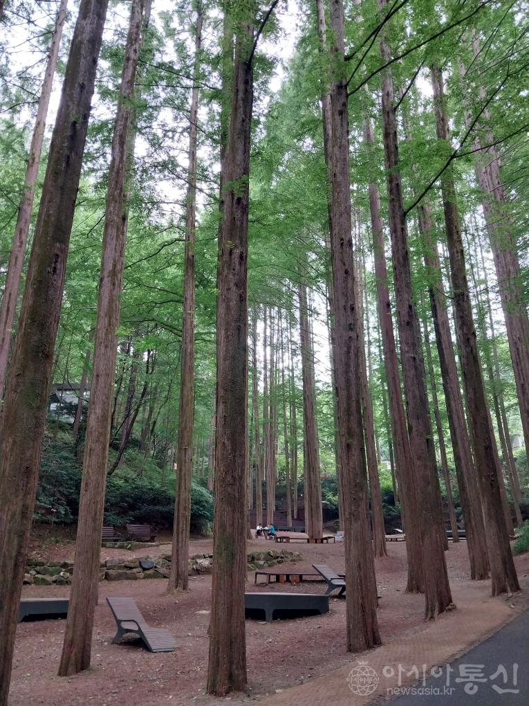 장12(작).jpg