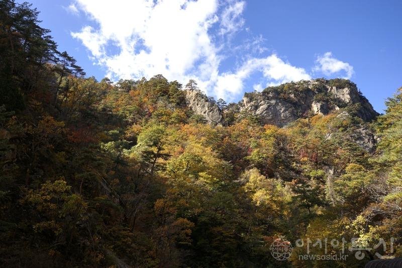 주104(보도).jpg