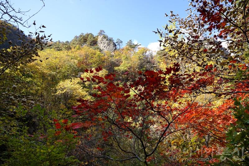 주88.jpg