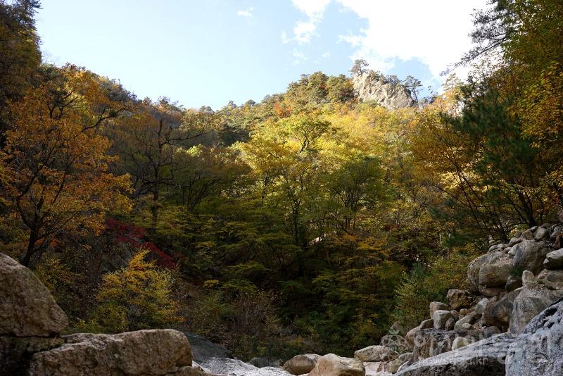 주93.jpg
