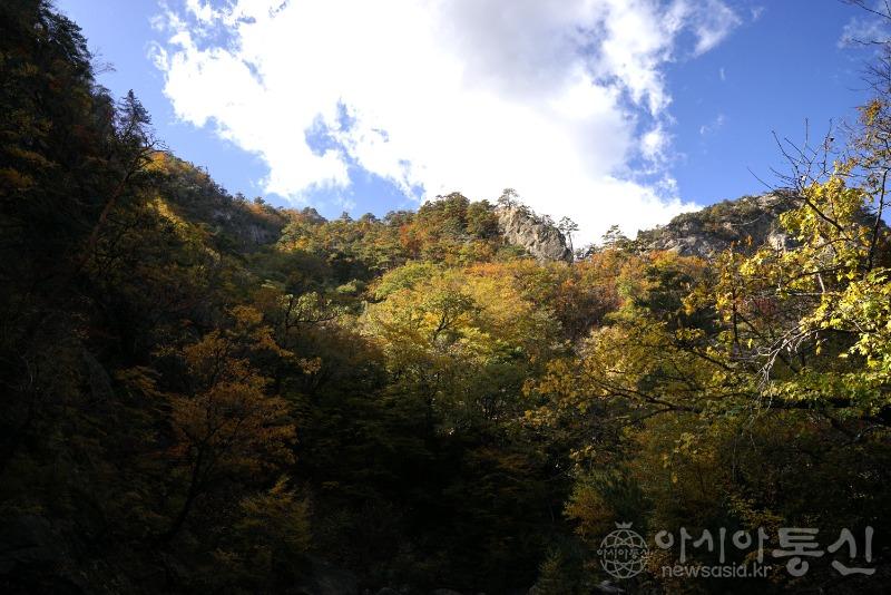 주99(작).jpg