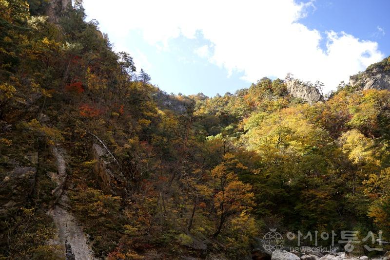 주101.jpg