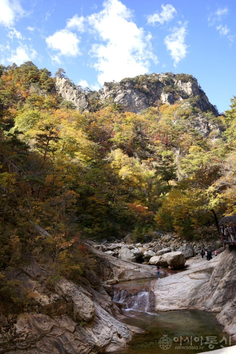 주107(작).jpg