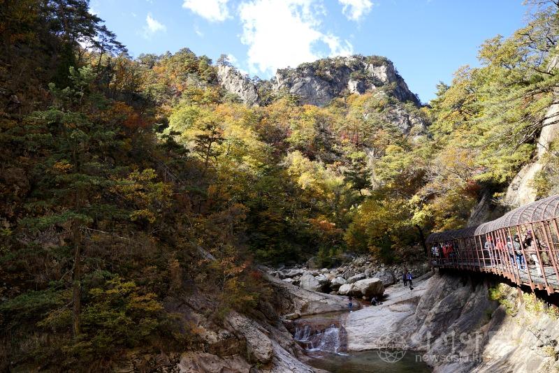 주109.jpg