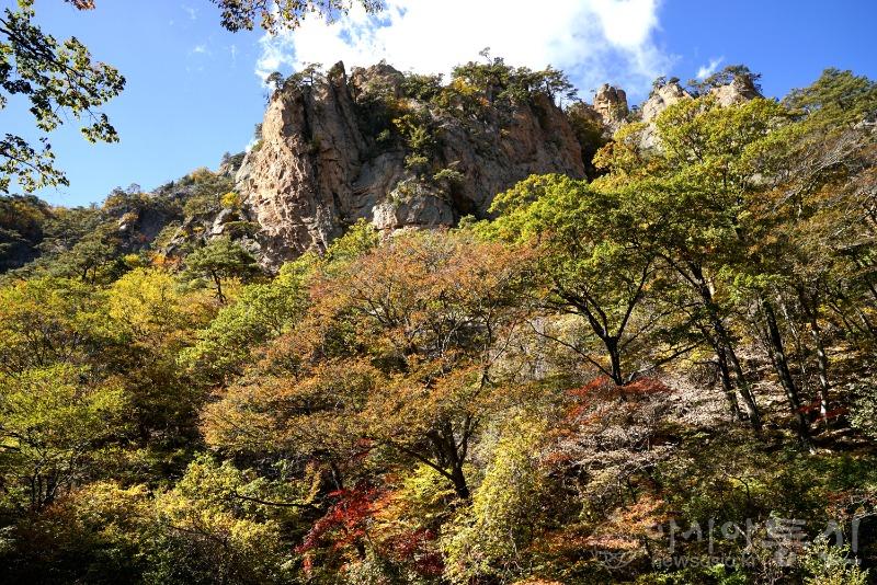 주156.jpg
