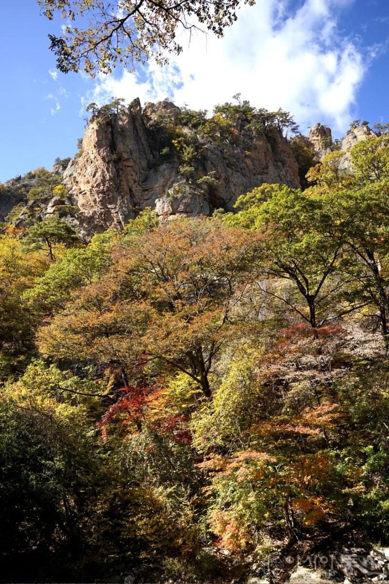 주155(보도).jpg